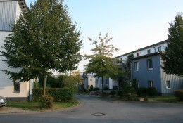 <p><strong>Grünordnungsplan zur Wohnbebauung Am Zimmermanns Wäldchen in Schwerte</strong></p><p>Straßenraum</p>
